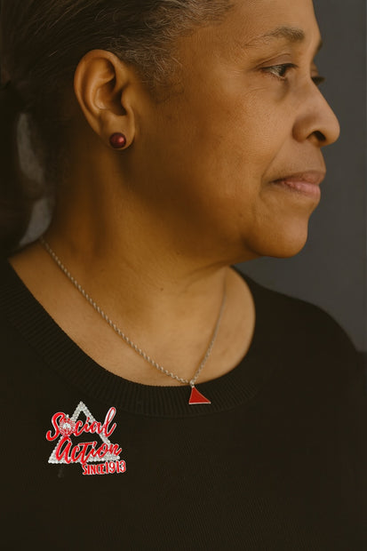 ΔΣΘ Social Action Pin