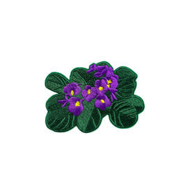 Violet Flower Patch