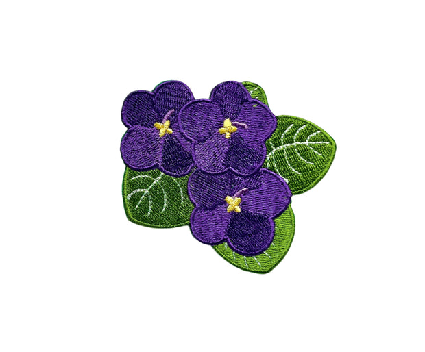 Violet Flower Patch