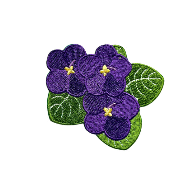 Violet Flower Patch