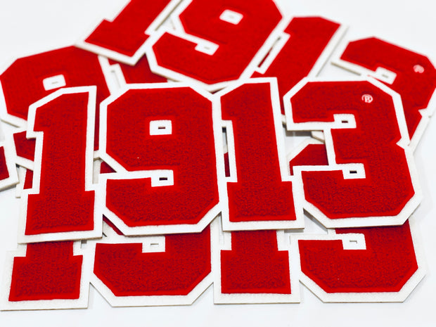 Delta Sigma Theta 1913 Chenille Iron-On Patch