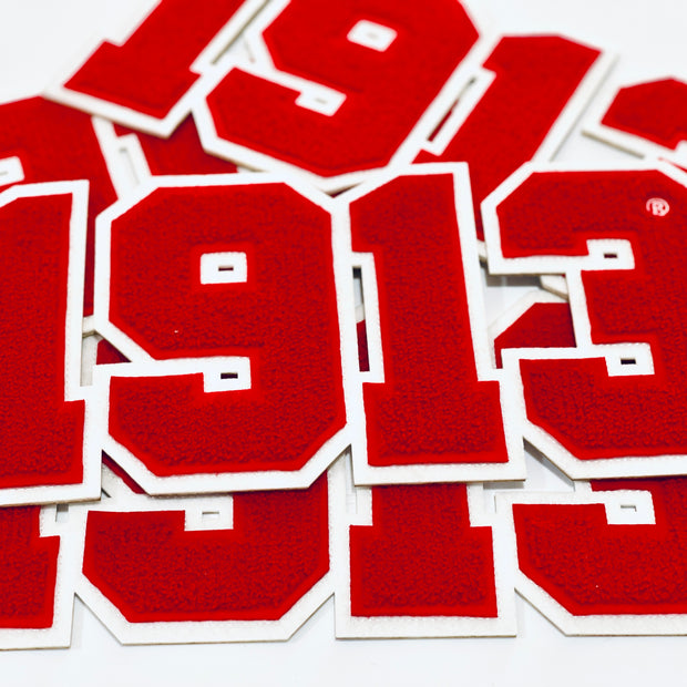 Delta Sigma Theta 1913 Chenille Iron-On Patch