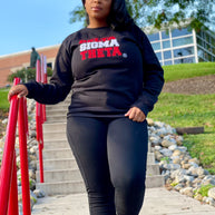 Delta Sigma Theta Sweatshirt