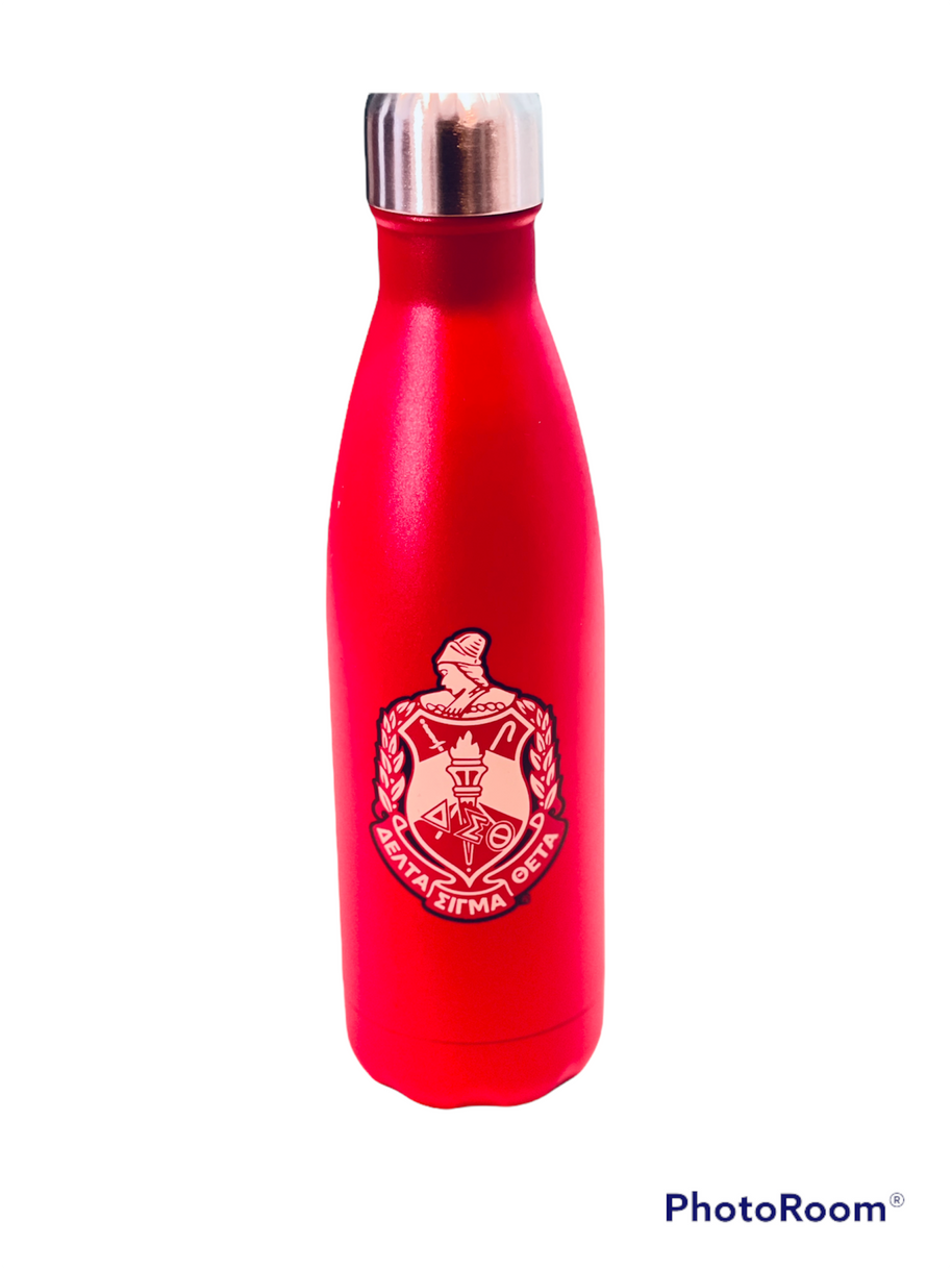 DST 20oz Water Bottle