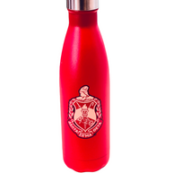 DST 20oz Water Bottle