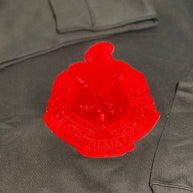 DST Red Chenille Shield Sweatshirt